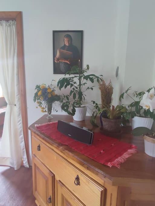 Cemerno Cottage Gacko Εξωτερικό φωτογραφία